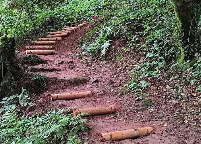 Schlabbeflicker Apartamento